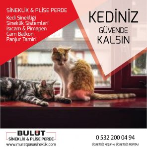 Kedi Sinekliği