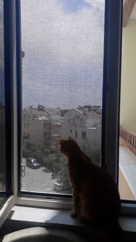 b79cf107-5523-4242-8aaa-56bbe28327ea-min